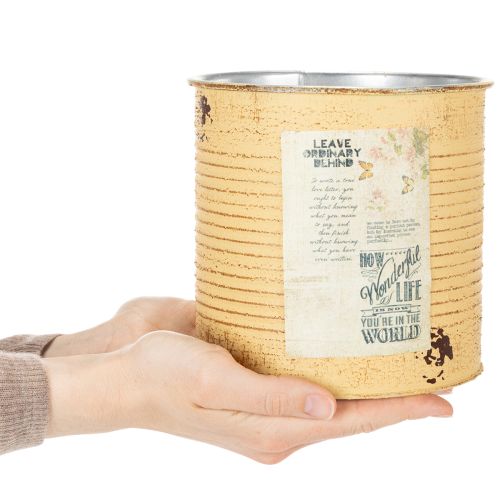 daiktų Vintažinio dizaino gėlių vazonai svetainei ir biurui, 15 cm, 3 vnt.