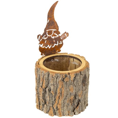 Floristik24 Vazonas-medžio žievės formos nykštukas-rūdys, aukštis 24 cm