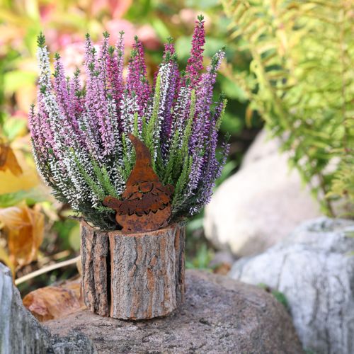 daiktų Vazonas-medžio žievės formos nykštukas-rūdys, aukštis 24 cm