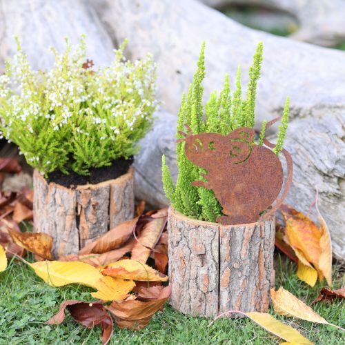 daiktų Medinis gėlių vazonas, žievės ir pelės formos, rūdžių spalvos, aukštis 24 cm