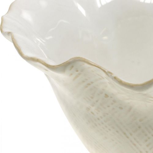 daiktų Gėlių vazonas keraminis vazonas gėlių taurė vazonas baltas Ø19cm
