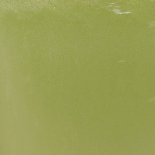 daiktų Orchidėjų vazonas gėlių vazonas plastikinis vaza žalias H16,5cm 4vnt