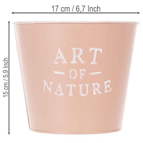 daiktų Cinko vazonas „Art of Nature“, sendintos rožės spalvos, Ø17,5 cm, aukštis 15 cm