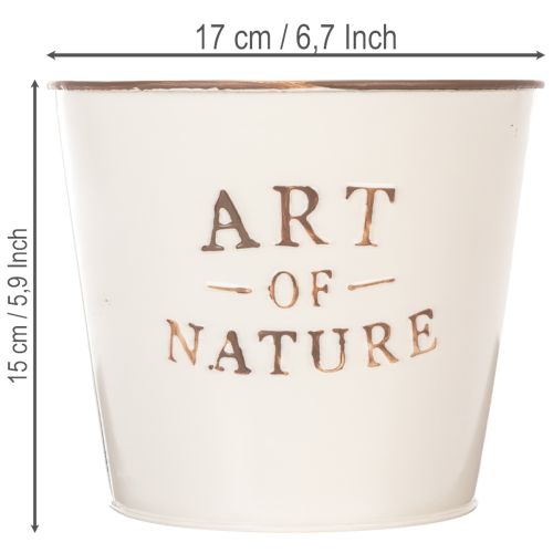 Cinko vazonas „Art of Nature Cream“ Ø17,5 cm, aukštis 15 cm | Floristik24.lt