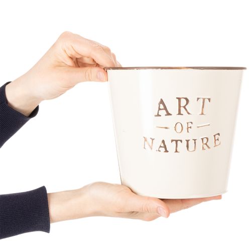 daiktų Cinko vazonas „Art of Nature Cream“ Ø17,5 cm, aukštis 15 cm