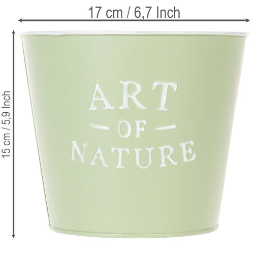 daiktų Cinko vazonas „Art of Nature“ mėtų žalios spalvos, Ø17,5 cm, aukštis15 cm