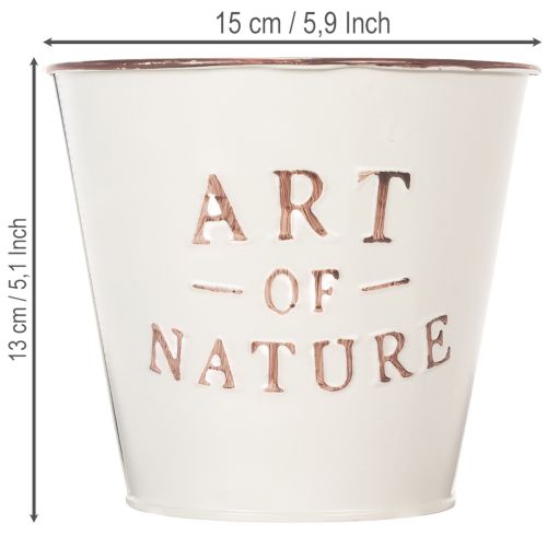 Cinko vazonas, kreminės spalvos, Ø15cm, aukštis13.5cm | Floristik24.lt