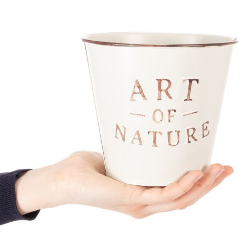 „Art of Nature“ vazonas su užrašu, palangės ir svetainės dekoracija, 15 cm, 2 vnt. | Floristik24.lt