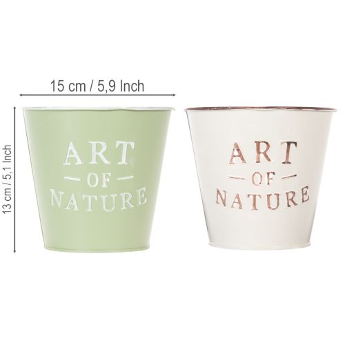 „Art of Nature“ vazonas su užrašu, palangės ir svetainės dekoracija, 15 cm, 2 vnt. | Floristik24.lt