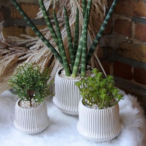 Floristik24 Gėlių vazonas keraminis vazonas su grioveliais baltas Ø14,5cm H12,5cm