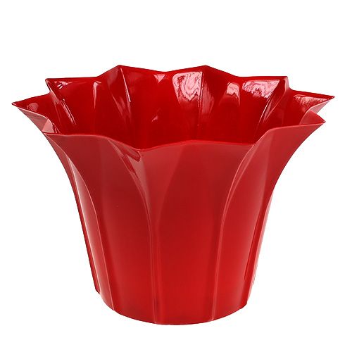 Floristik24 Gėlių vazonas plastikinis Ø14cm raudonas 10vnt
