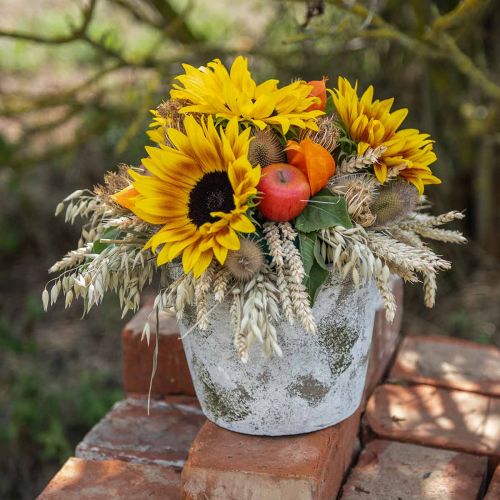 Floristik24 Senovinės išvaizdos vazonas su patina Ø20,5cm H16cm