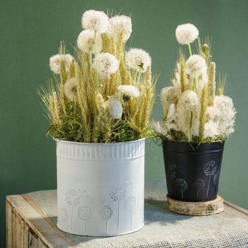 Floristik24 Sodinamosios kiaulpienės gėlių vazonas baltas Ø12,5cm H14cm