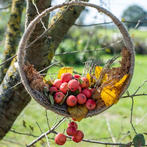 daiktų Boho stiliaus pakabinamas dekoravimo augalas sūpynių dekoravimo žiedas džiutas 31cm