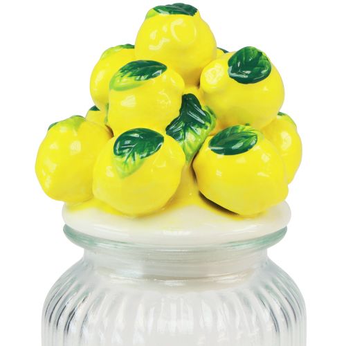 daiktų Saldainių indelis su dangteliu citrininis sausainių indelis Ø11cm H19cm