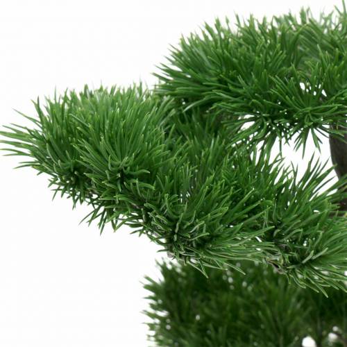 Floristik24 Bonsai medis keraminiame vazone Japonijos dirbtinė pušis H36cm