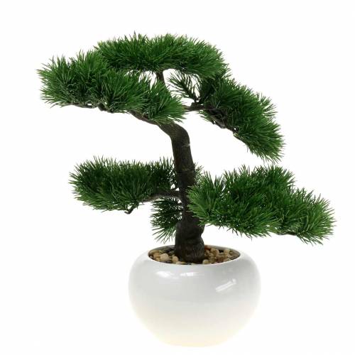 Floristik24 Bonsai medis keraminiame vazone Japonijos dirbtinė pušis H36cm