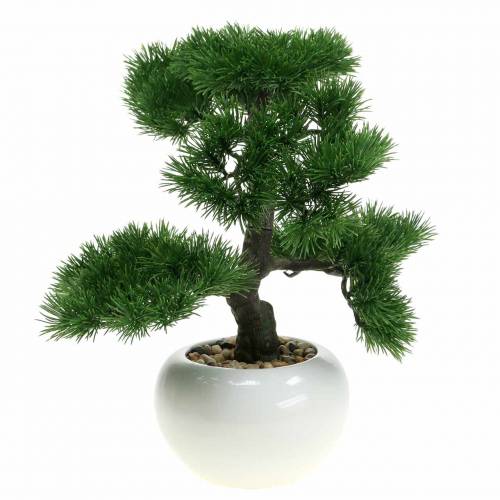 Floristik24 Bonsai medis keraminiame vazone Japonijos dirbtinė pušis H36cm