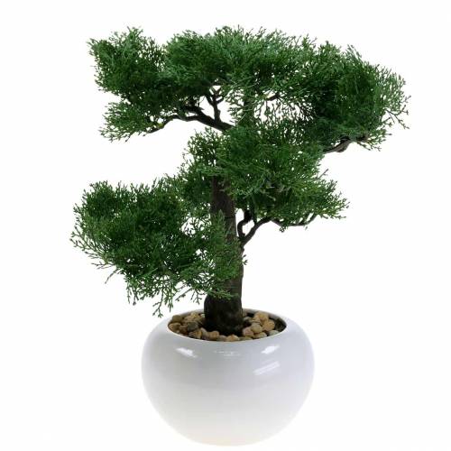 Floristik24 Dirbtinė bonsai pušis vazone H36cm