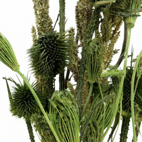 Floristik24 Laukinių gėlių puokštė natūrali, žalia 25–60cm 70g