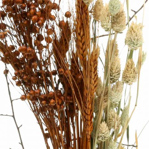 Floristik24 Laukinių gėlių puokštė gamtos, oranžinė 25-60cm 65g