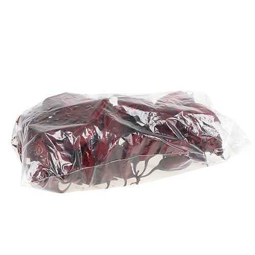 daiktų Brachyciton Red 500g