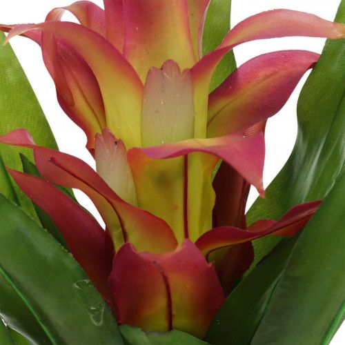 daiktų Bromeliad dirbtinė Rožinė Dirbtinė gėlė klijuoti 54cm