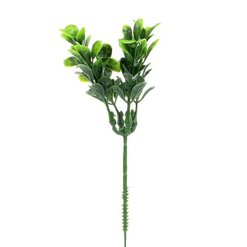 Floristik24 Buksmedžio šaka žalia L20cm 12vnt
