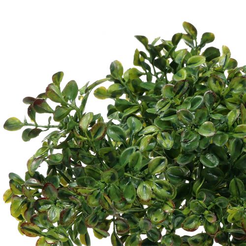Floristik24 Buksmedžio šaka žalia 27cm
