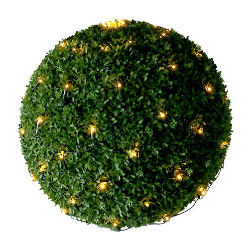 LED buksmedžio rutulinis tinklelis Ø80cm 120 žalia/šiltai balta