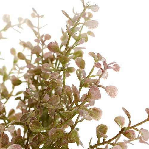 Floristik24 Buksmedžio šakelė rožinė, rožinė su žėručiu 32cm