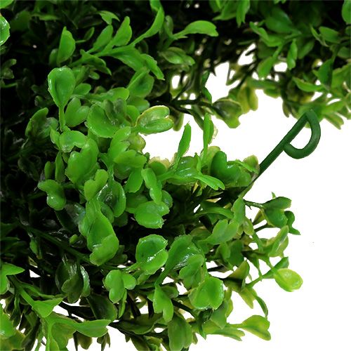 daiktų Boxwood Girland Green L170cm