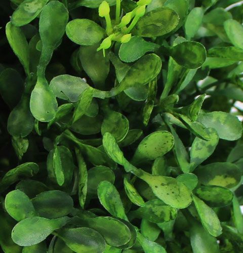 Floristik24 Dėžutės rutulys Ø15cm