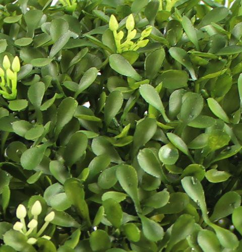 Floristik24 Dėžutės rutulys Ø25cm