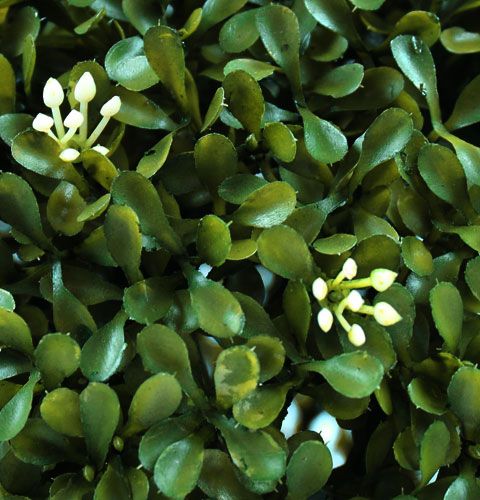 Floristik24 Dėžutės rutulys Ø30cm