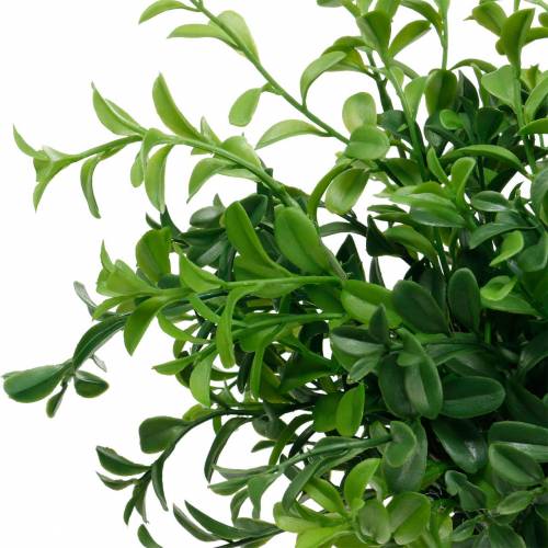 Floristik24 Dėžutės šakelės buksmedžio ant skinti dirbtinio žalio augalo 6 vnt