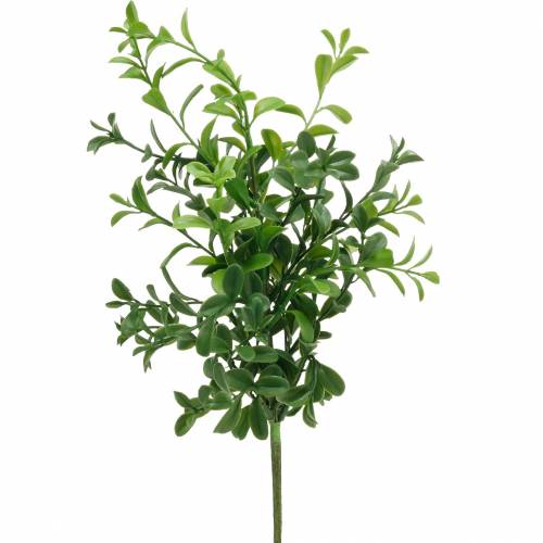 Floristik24 Dėžutės šakelės buksmedžio ant skinti dirbtinio žalio augalo 6 vnt