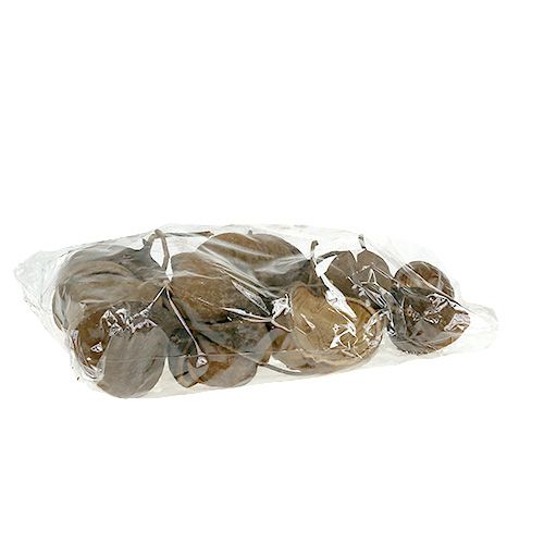Floristik24 Budos riešutas Natural 15 vnt