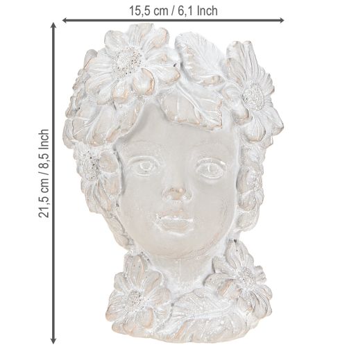 daiktų Biustas pagamintas iš lietaus akmens skulptūros moters plantatorius antikvarinis H21,5 cm