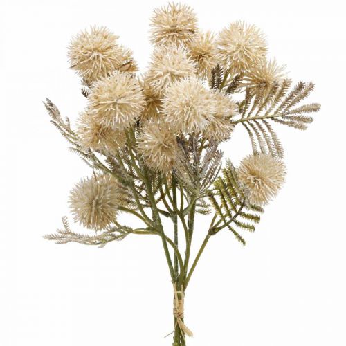Floristik24 Dirbtinis erškėčio kremas Drylook Globe Thistle 33cm 3vnt