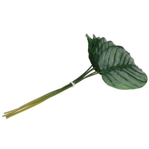 Floristik24 Dekoratyvinis lapas, Calathea lapas 6vnt