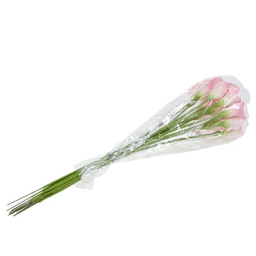 Calla dekoratyvinė gėlė rožinė