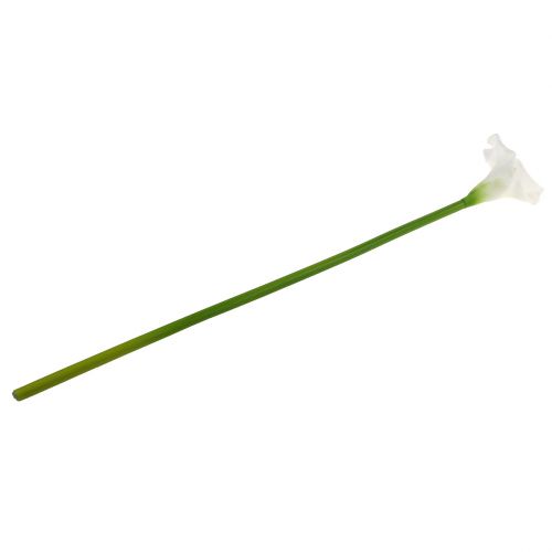 Floristik24 Dirbtinė Calla White 67cm