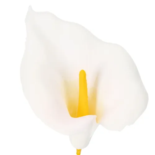 Dirbtinė kalija su geltonais kuokeliais, dekoratyviniais žiedais, 35 cm, 10 vnt. | Floristik24.lt