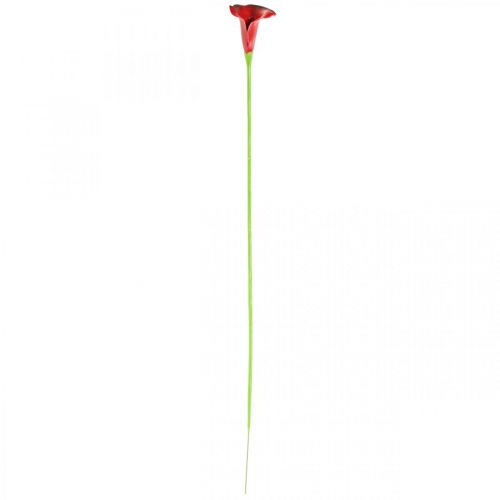 daiktų Calla red bordo dirbtinės gėlės kekėje 57cm 12 vnt