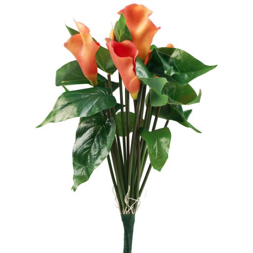 Floristik24 Calla Lily Abrikosas Calla Dirbtinės gėlės Oranžinės Egzotinės 44cm