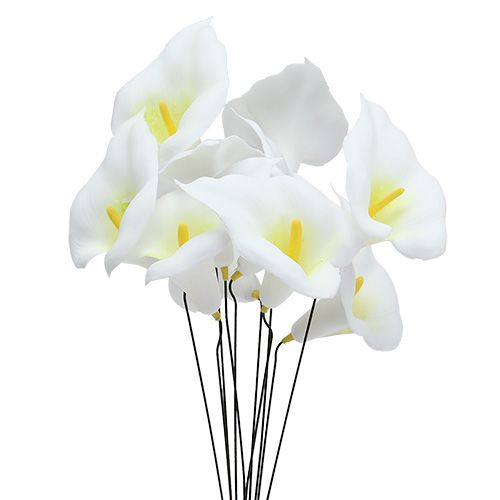 daiktų Calla ant vielos maža balta 50 vnt