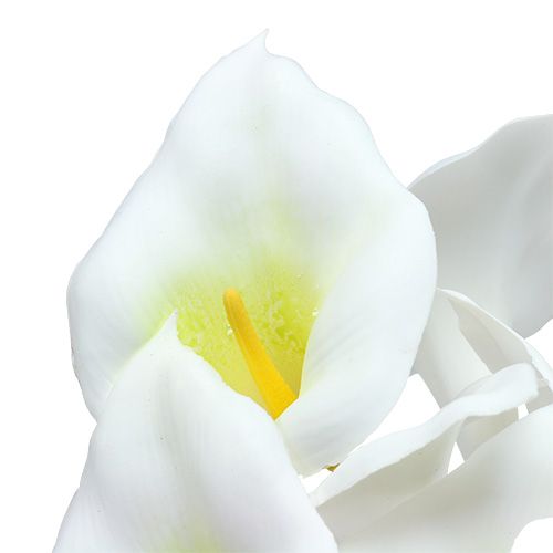 daiktų Calla ant vielos maža balta 50 vnt