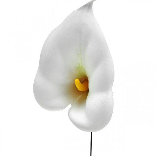 daiktų Calla medium ant vielos 50 vnt