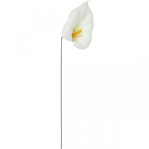 daiktų Calla medium ant vielos 50 vnt
